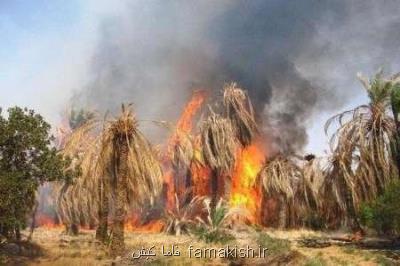 آتشسوزی گسترده در باغات هماگ هرمزگان